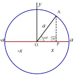 shm and the circle