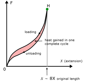 elastic hysteresis