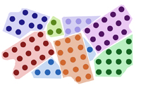 diagram representing crystallites or grains in a polycrystalline solid