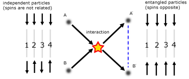 two entangled particles