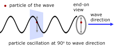 diagram of a transverse wave