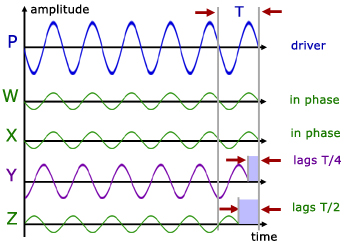 barton's pendulums - graph of amplitudes and phase differences