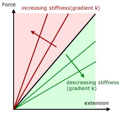 Hooke's Law & stiffness